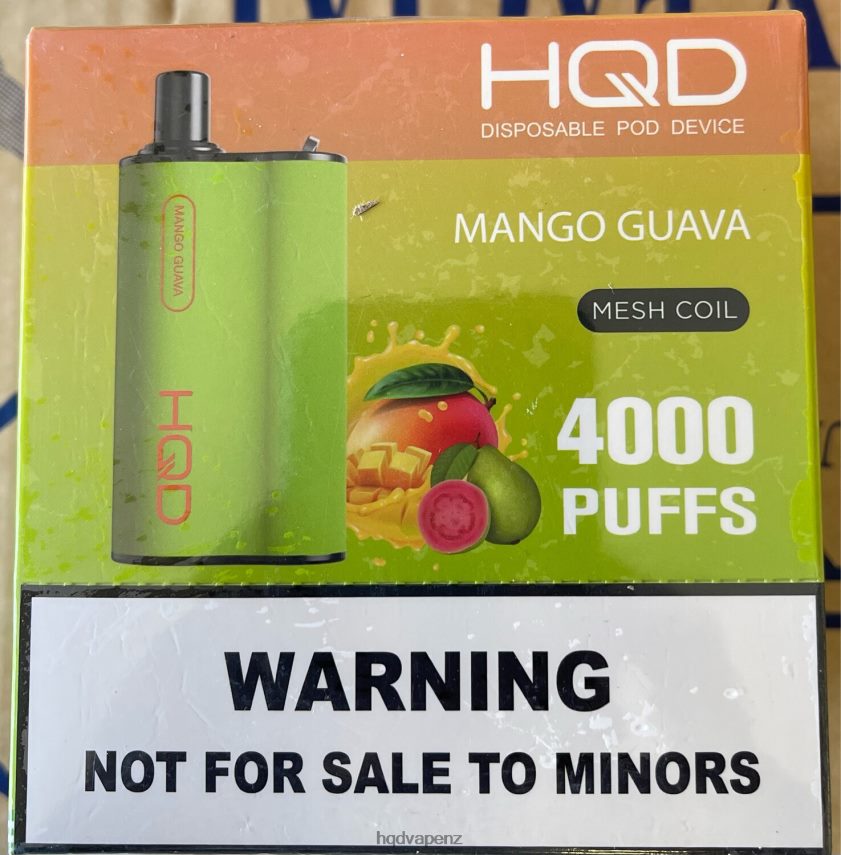 HQD Vape Factory - HQD BOX 4000 PUFFS Mango Guava 4P608H100