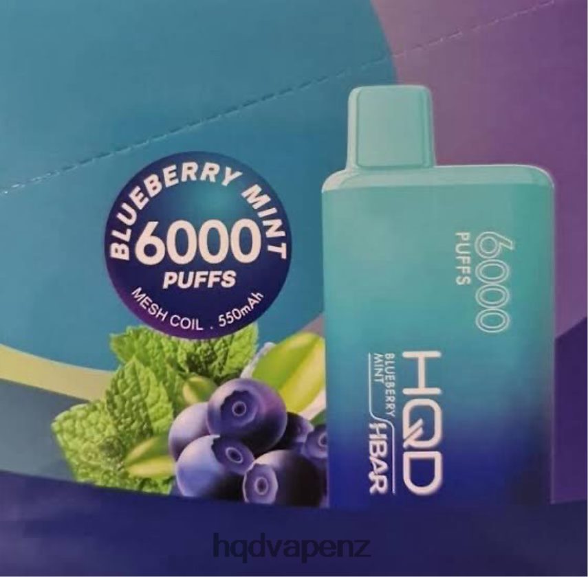 HQD Vape NZ - HQD HBAR 6000 PUFFS Blueberry Mint 4P608H51