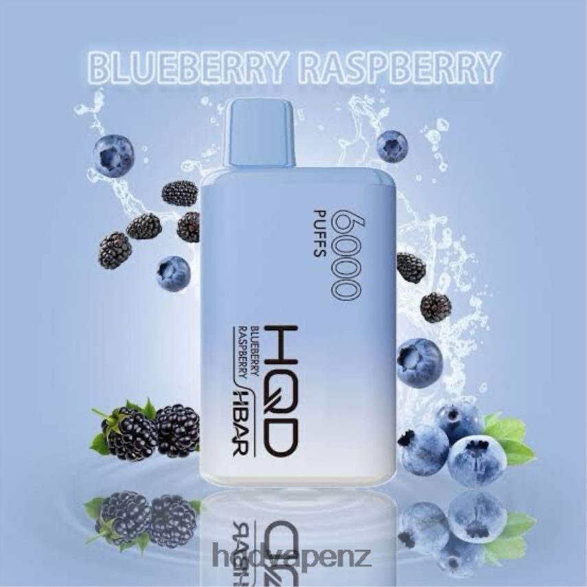 HQD Vapes NZ - HQD HBAR 6000 PUFFS Blueberry Raspberry 4P608H43