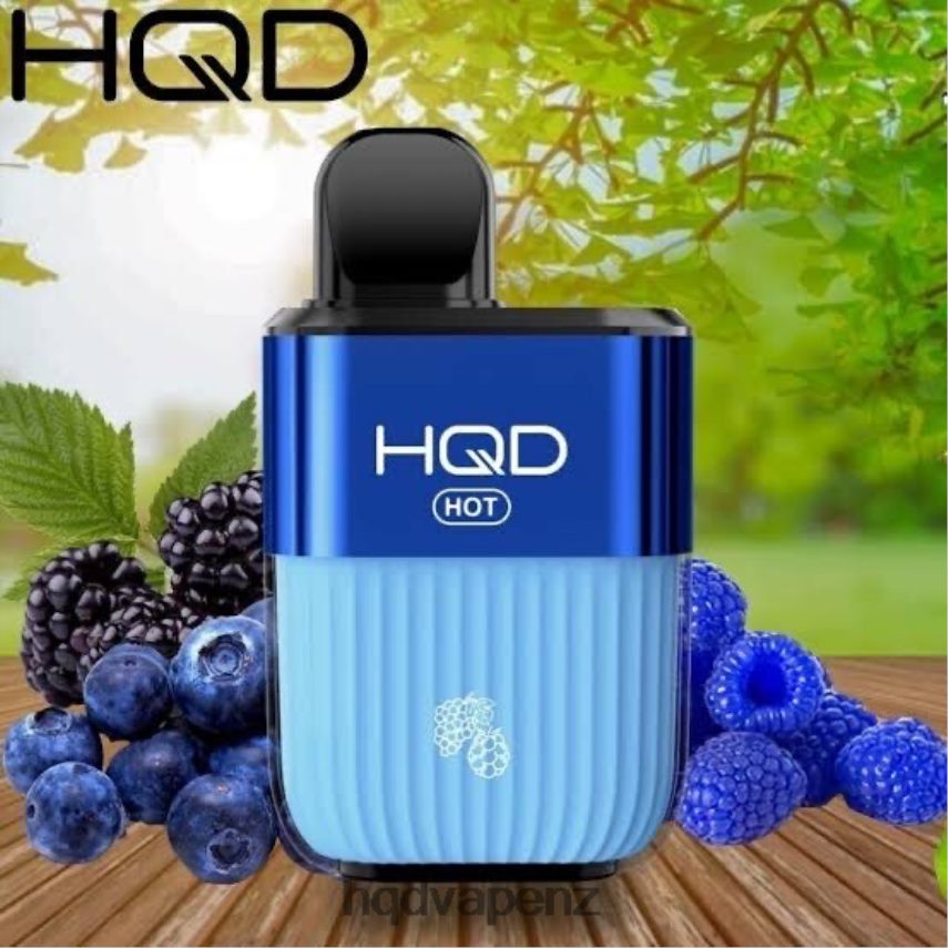 HQD Disposable Vape - HQD HOT 5000 PUFFS Fresh Berries 4P608H68